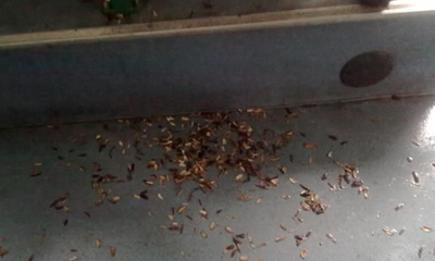 在公交上面看到不文明的行为,你会怎么样? - 资