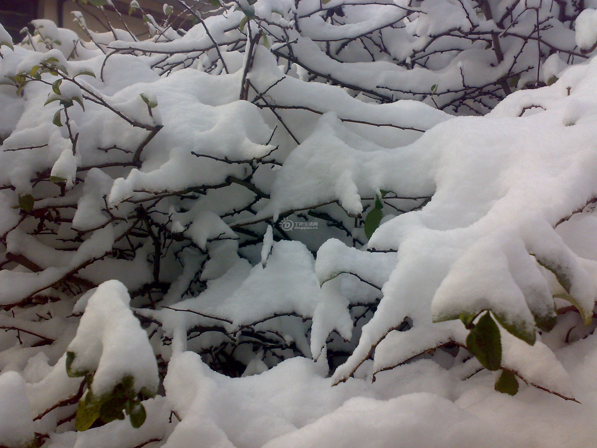 201012163160.jpg