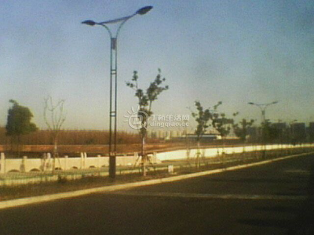 IMG0196A.jpg