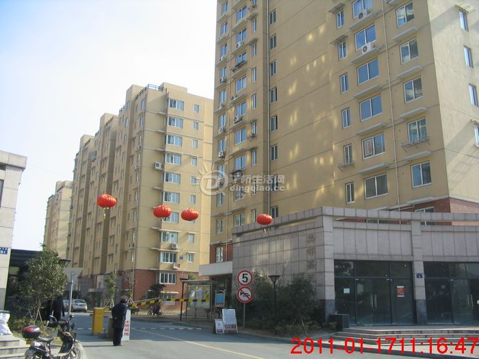 ڼԷ1.jpg