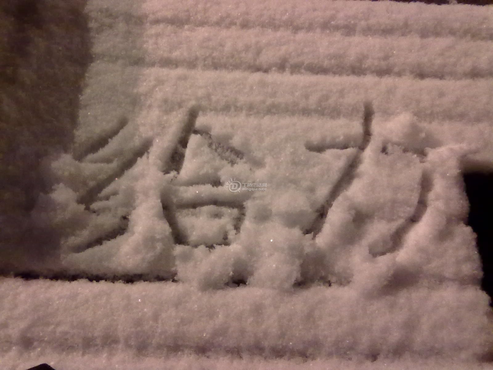 20110118094.jpg