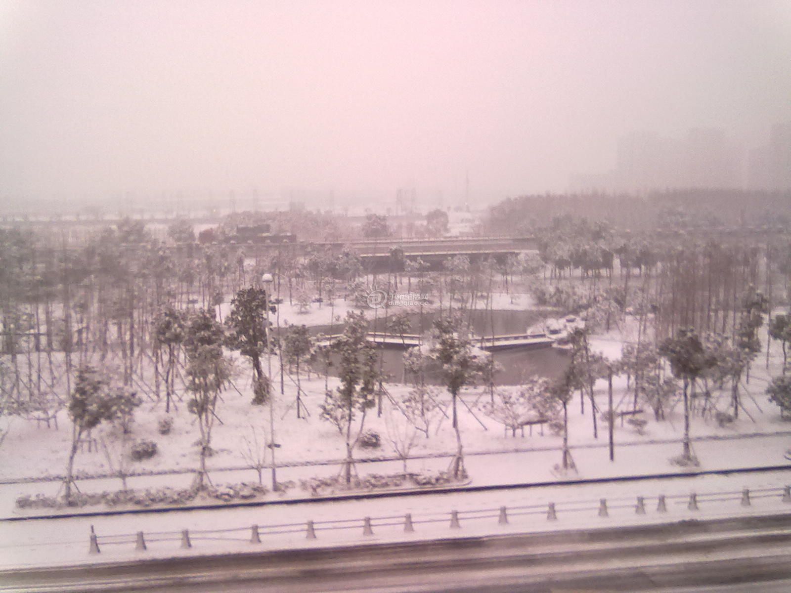 20110119097.jpg