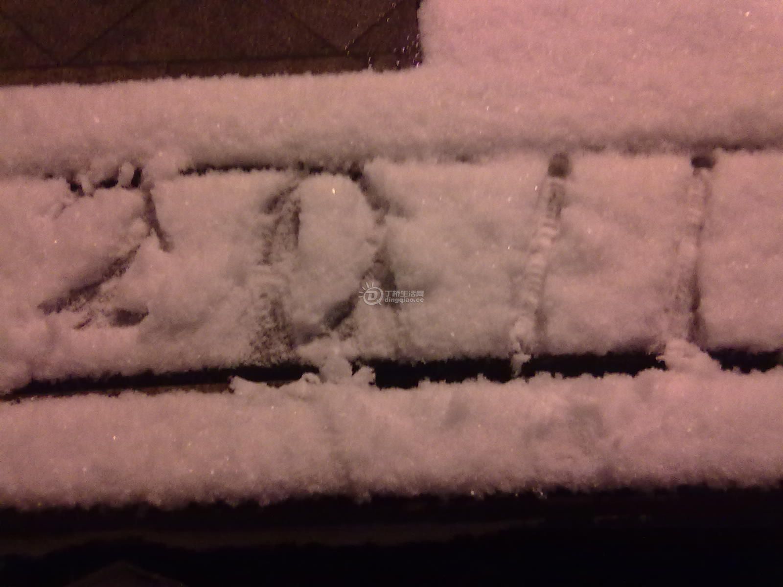 20110118093.jpg