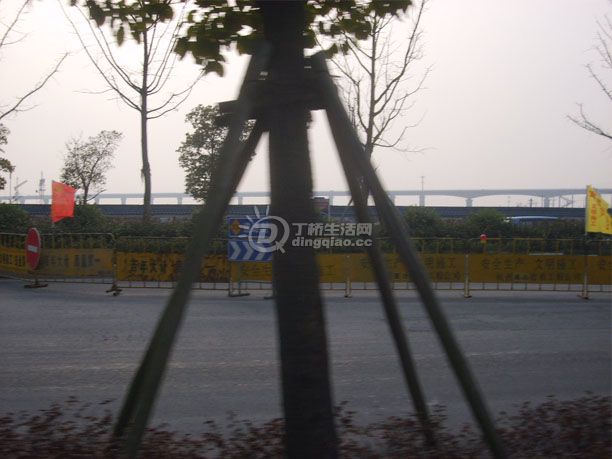 S6000111.jpg