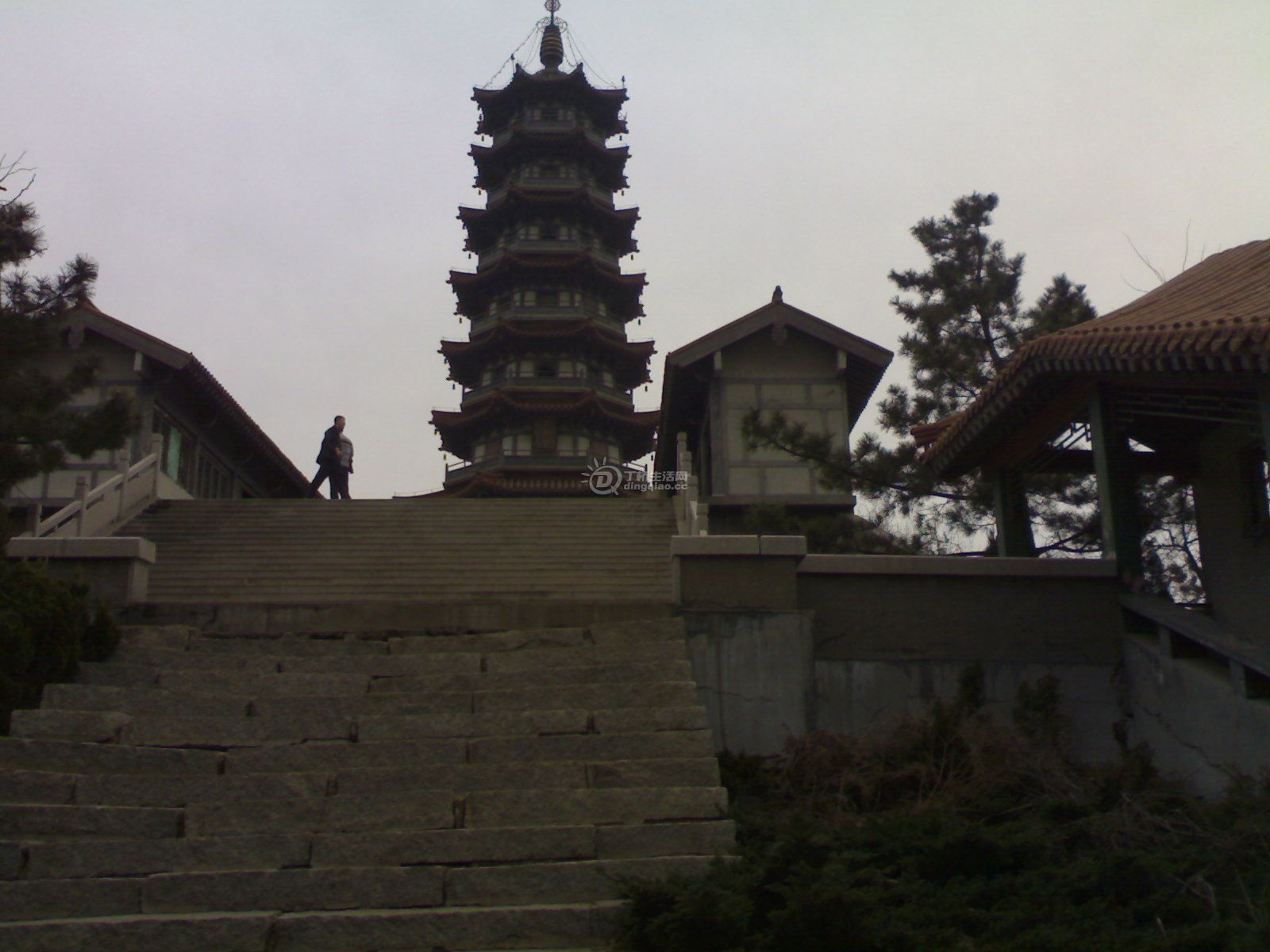 20110320847.jpg