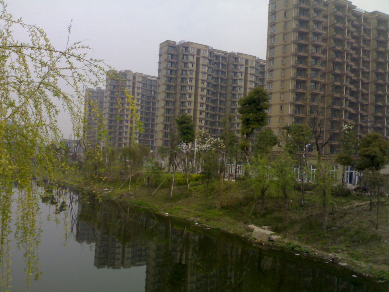 20110401965.jpg