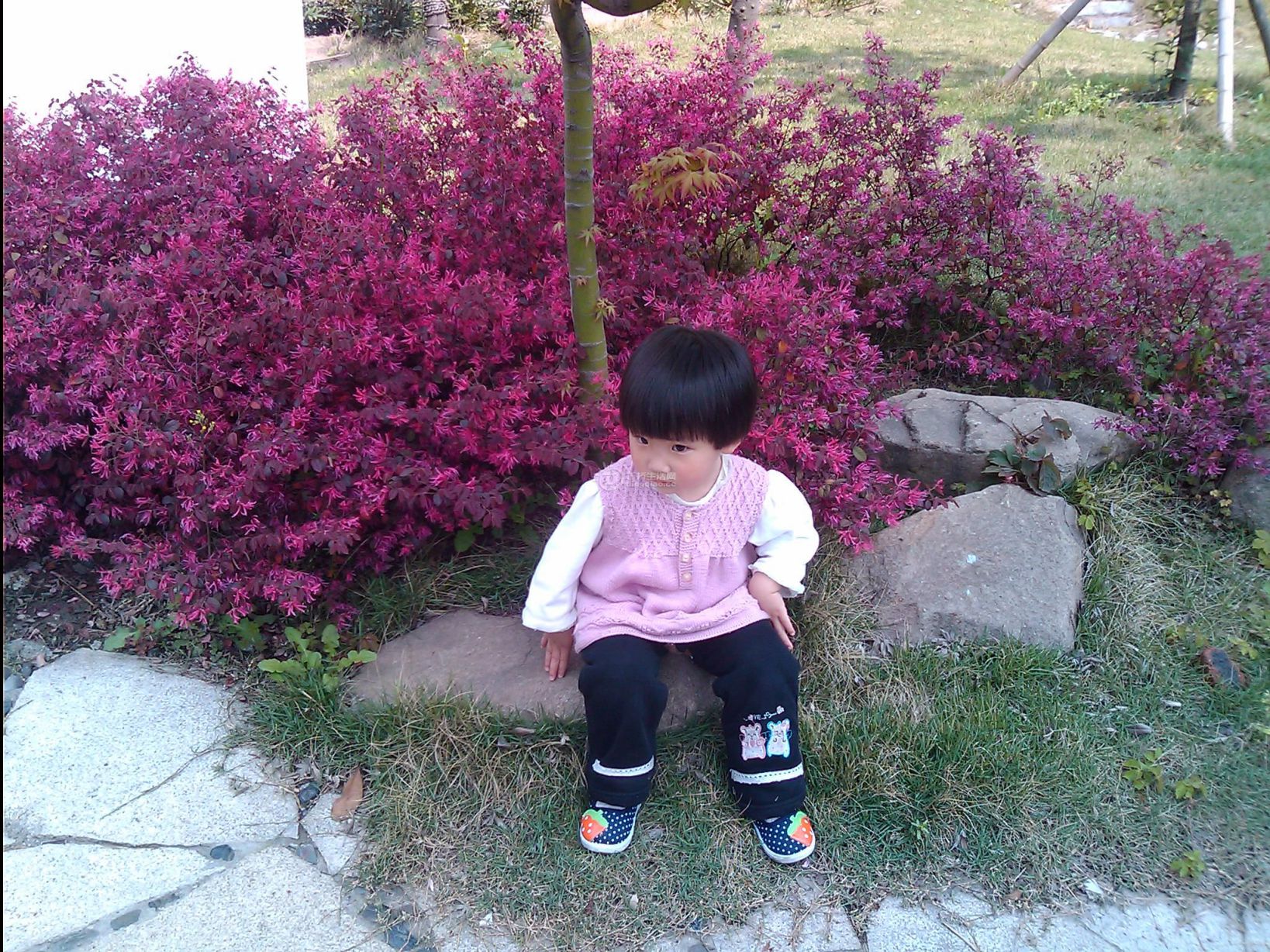 Ƭ 014.jpg