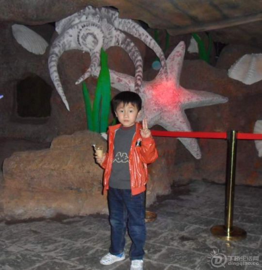 SAM_0784.JPG