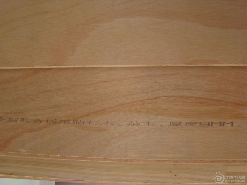 DSC01186.jpg