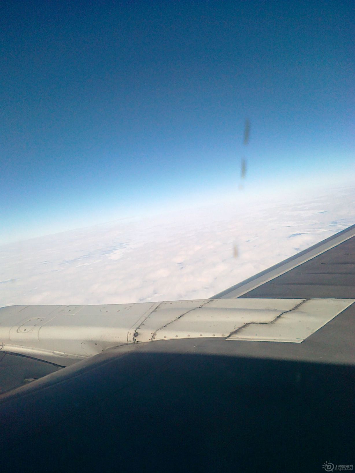 201101021116.jpg