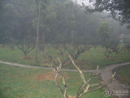 Ƭ 031.jpg