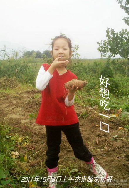 201110061431__.jpg