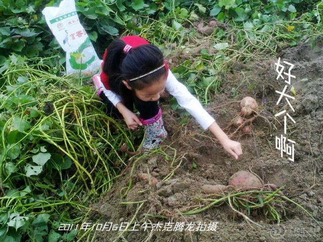 201110061436__.jpg