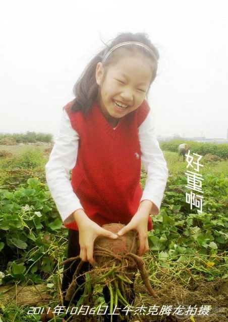 201110061437__.jpg