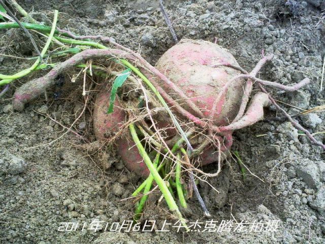 201110061439__.jpg