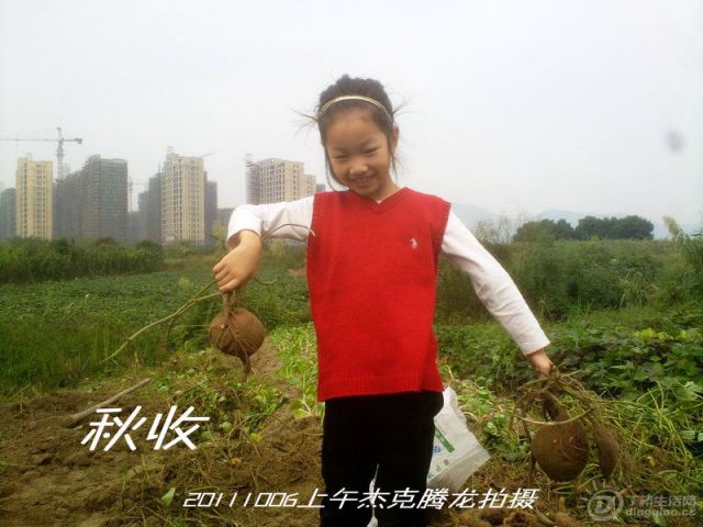 201110061441_.jpg