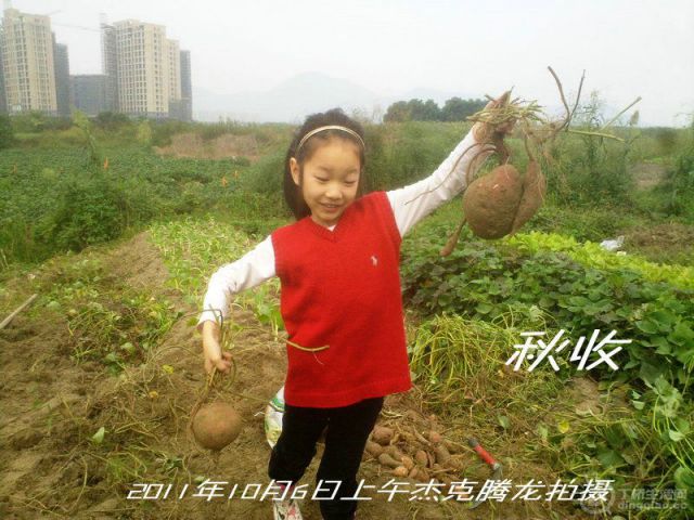 201110061453__.jpg