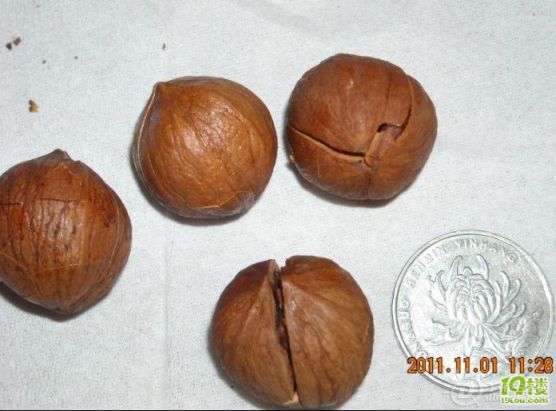20111112_1753669a32e78d80126baI59SQSUSSWg.jpg