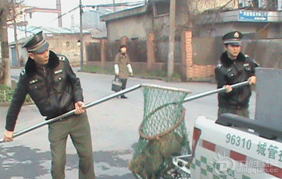 0023aeabdb4310ca8f9601.gif