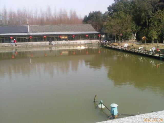 YP0022.jpg