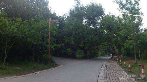 DSC_0010.JPG