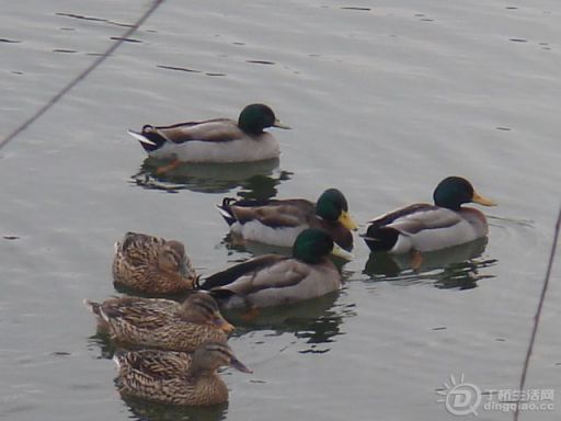 DSC03842.JPG