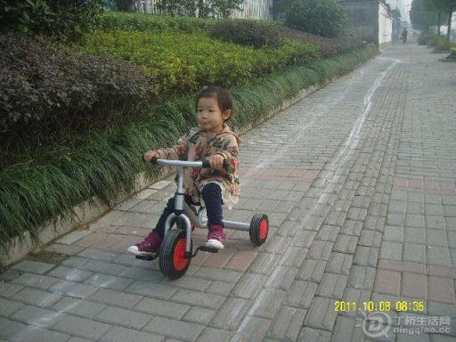BigBull_SNV80136.JPG