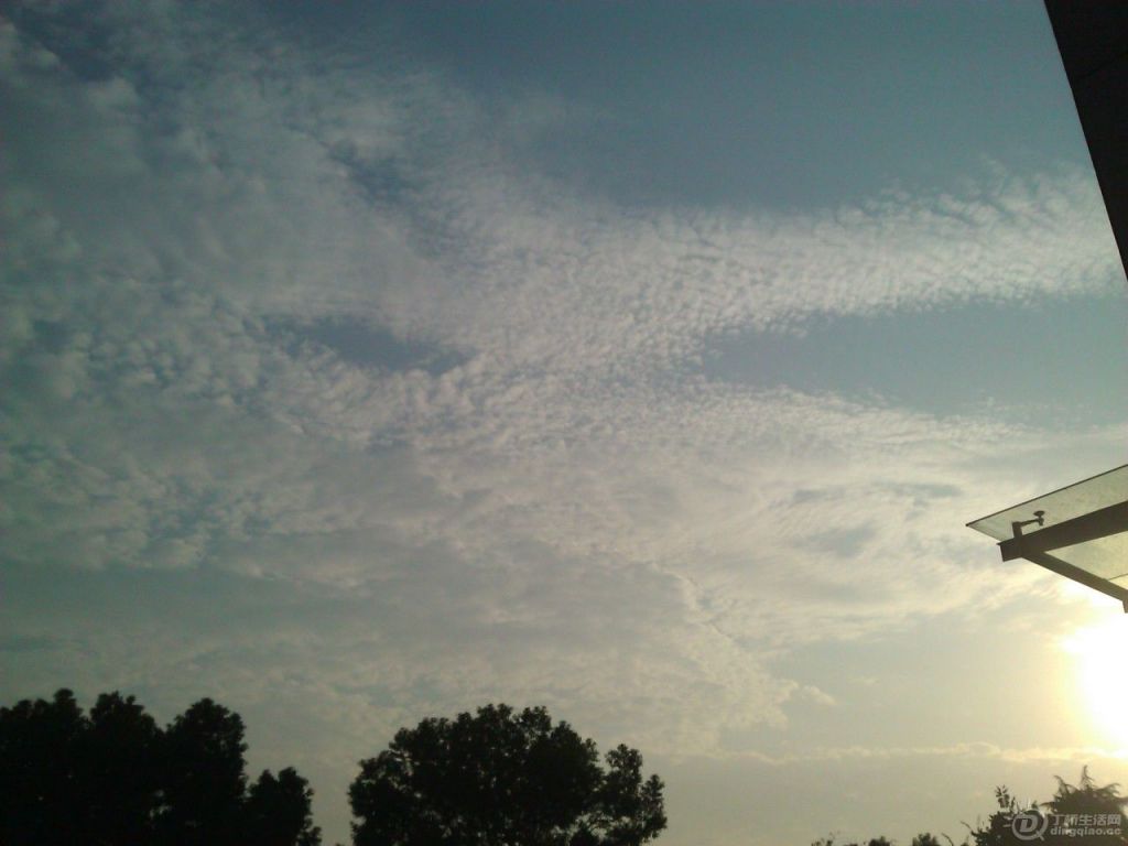 WP_002870.jpg
