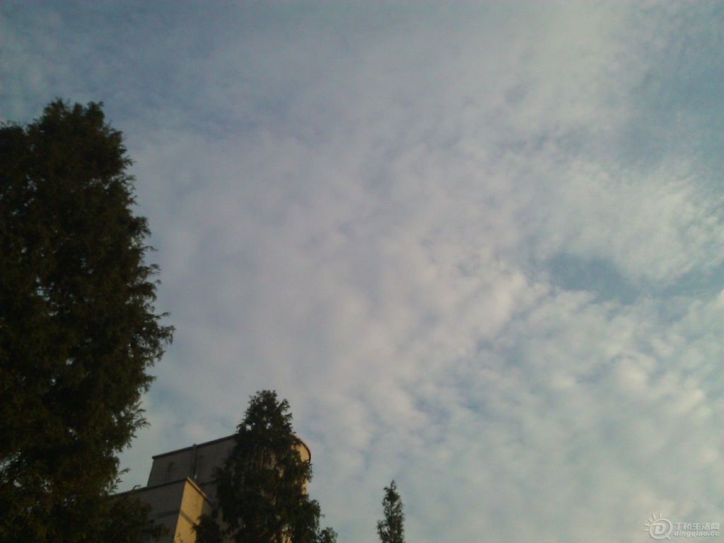 WP_002868.jpg