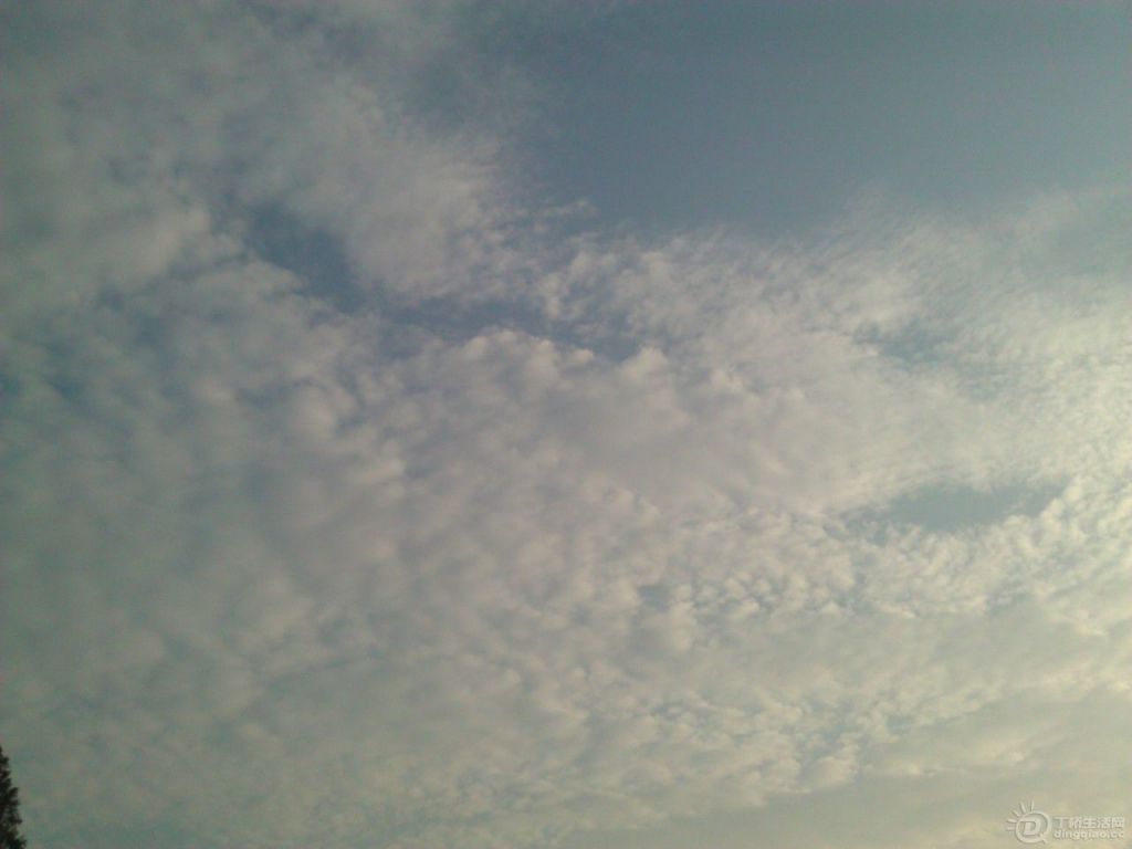 WP_002869.jpg
