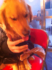 95cf899d1ad6d7f5c7e5ec1c446164fb21e7a74dae975-zDAuFv_fw554.gif