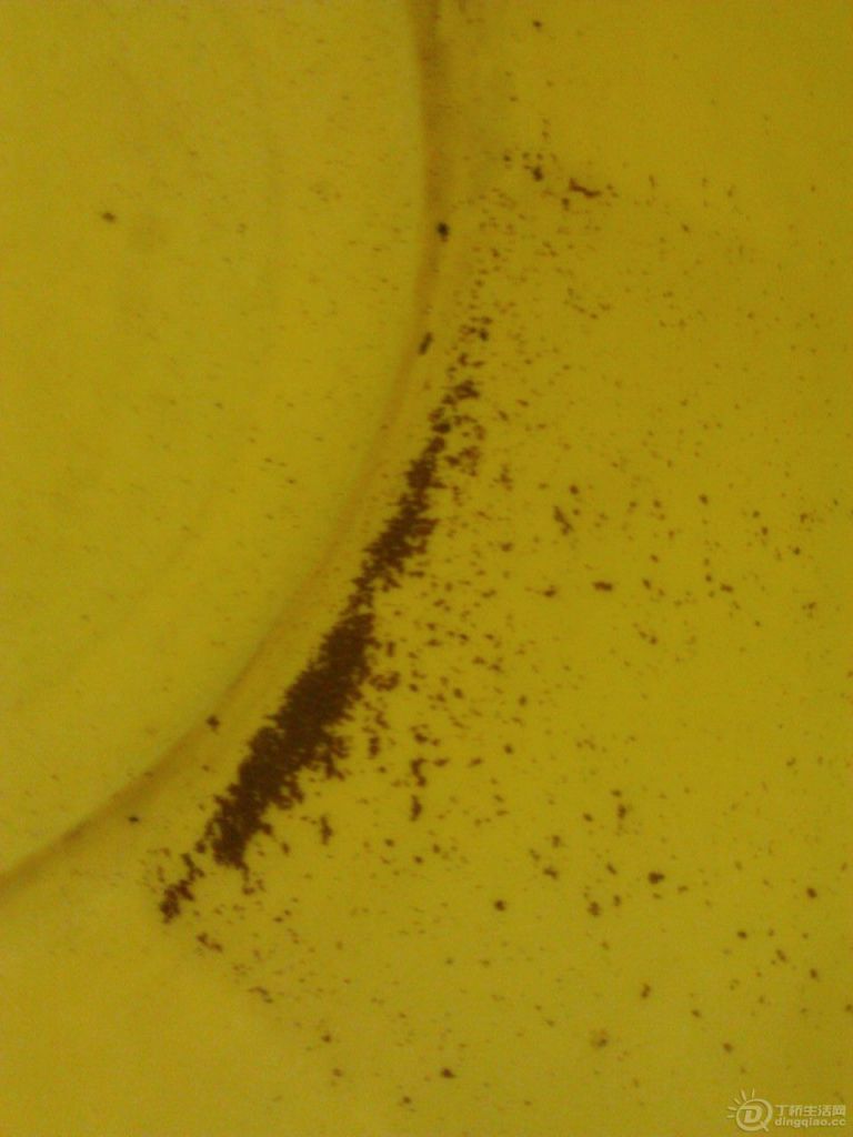 WP_002894.jpg