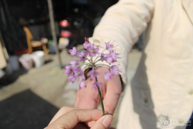 IMG_7621.jpg