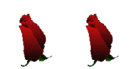 лл.gif