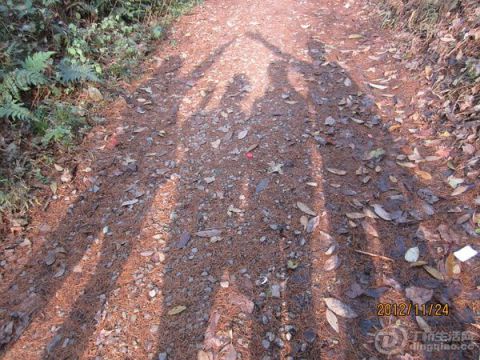 p1788498967.jpg
