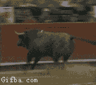 5.gif