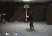 8.gif
