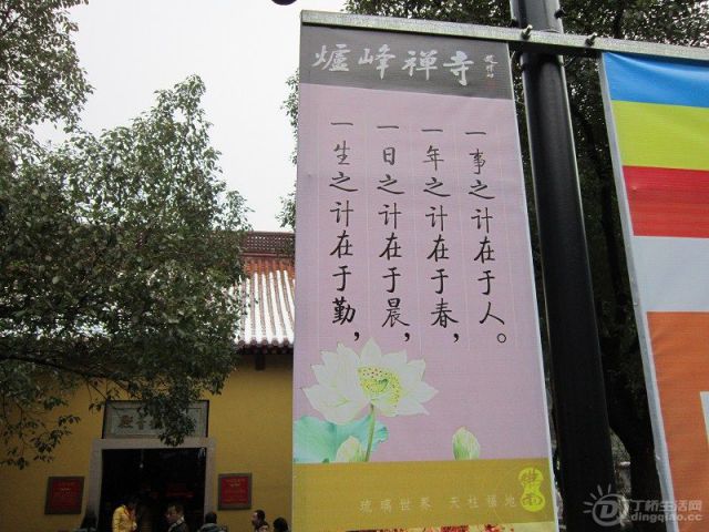 ¯7.jpg