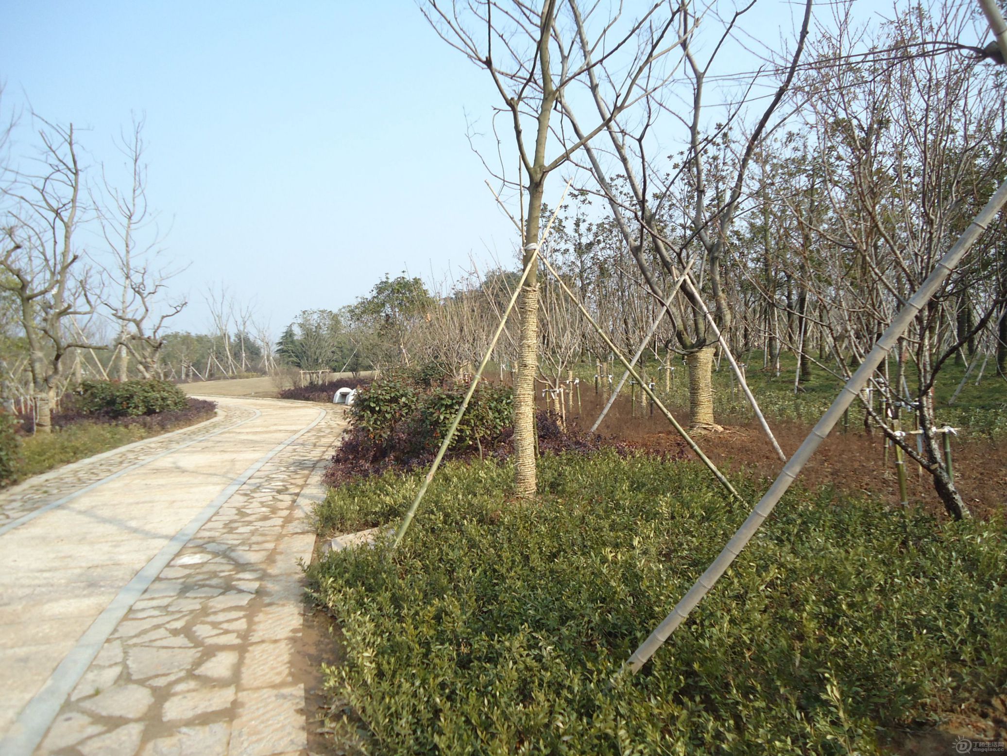 DSC01527.JPG