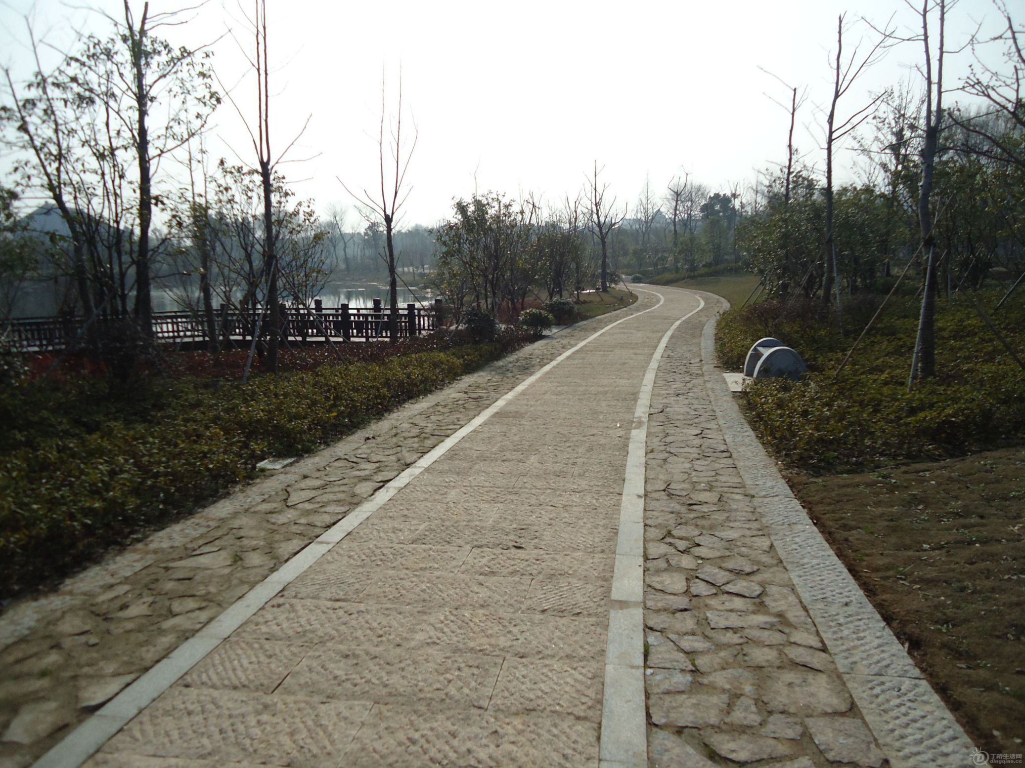 DSC01537.JPG