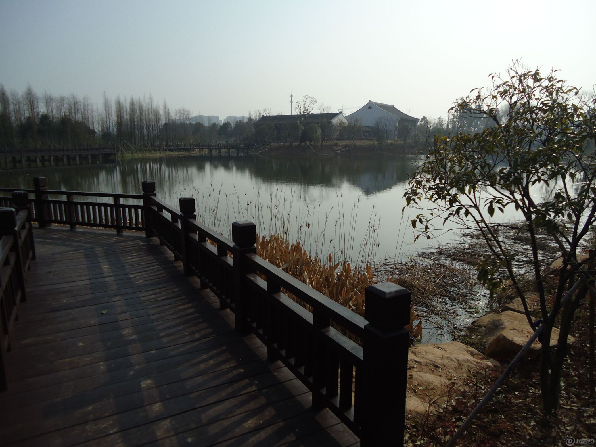 DSC01540.JPG