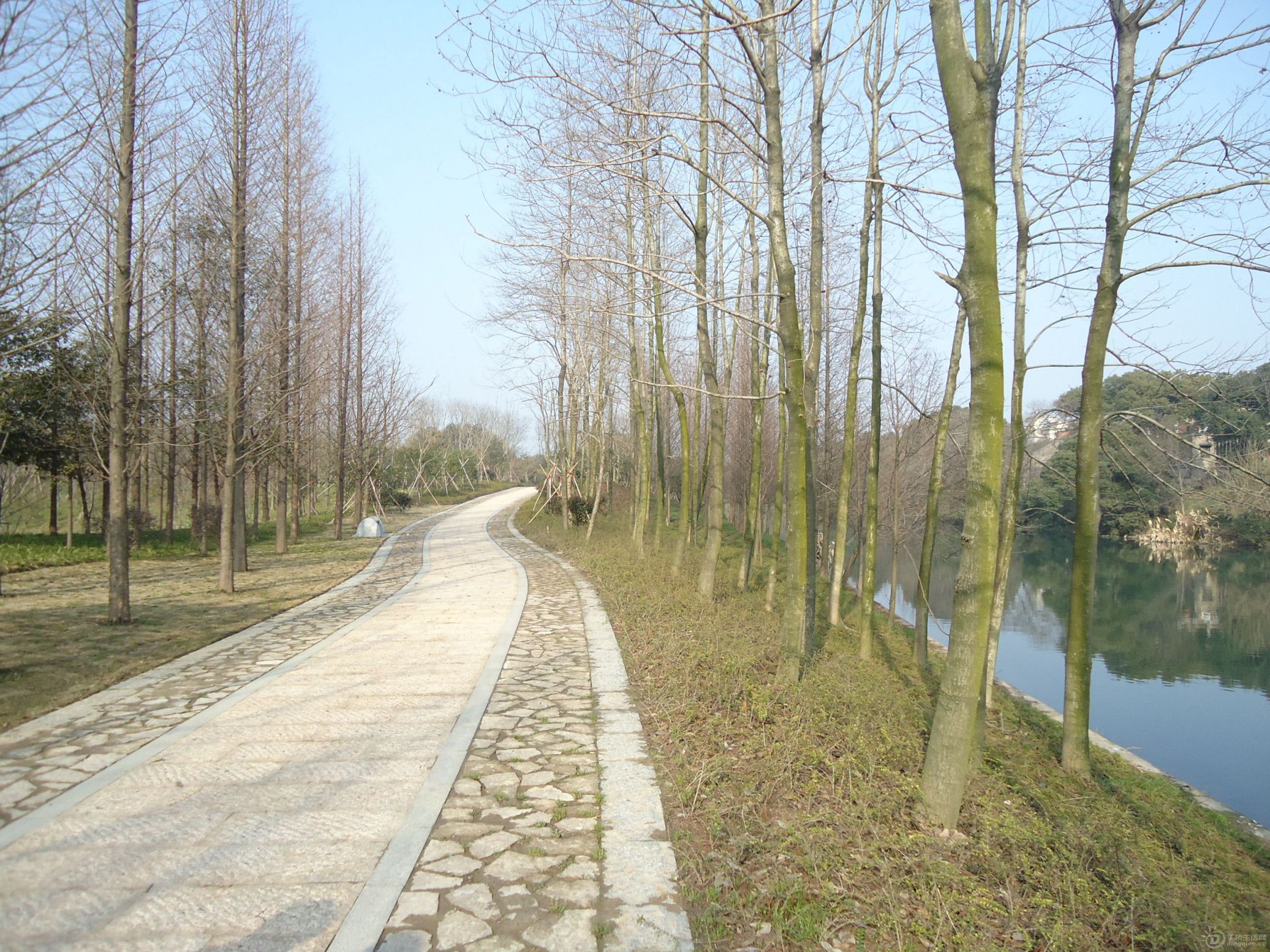 DSC01597.JPG