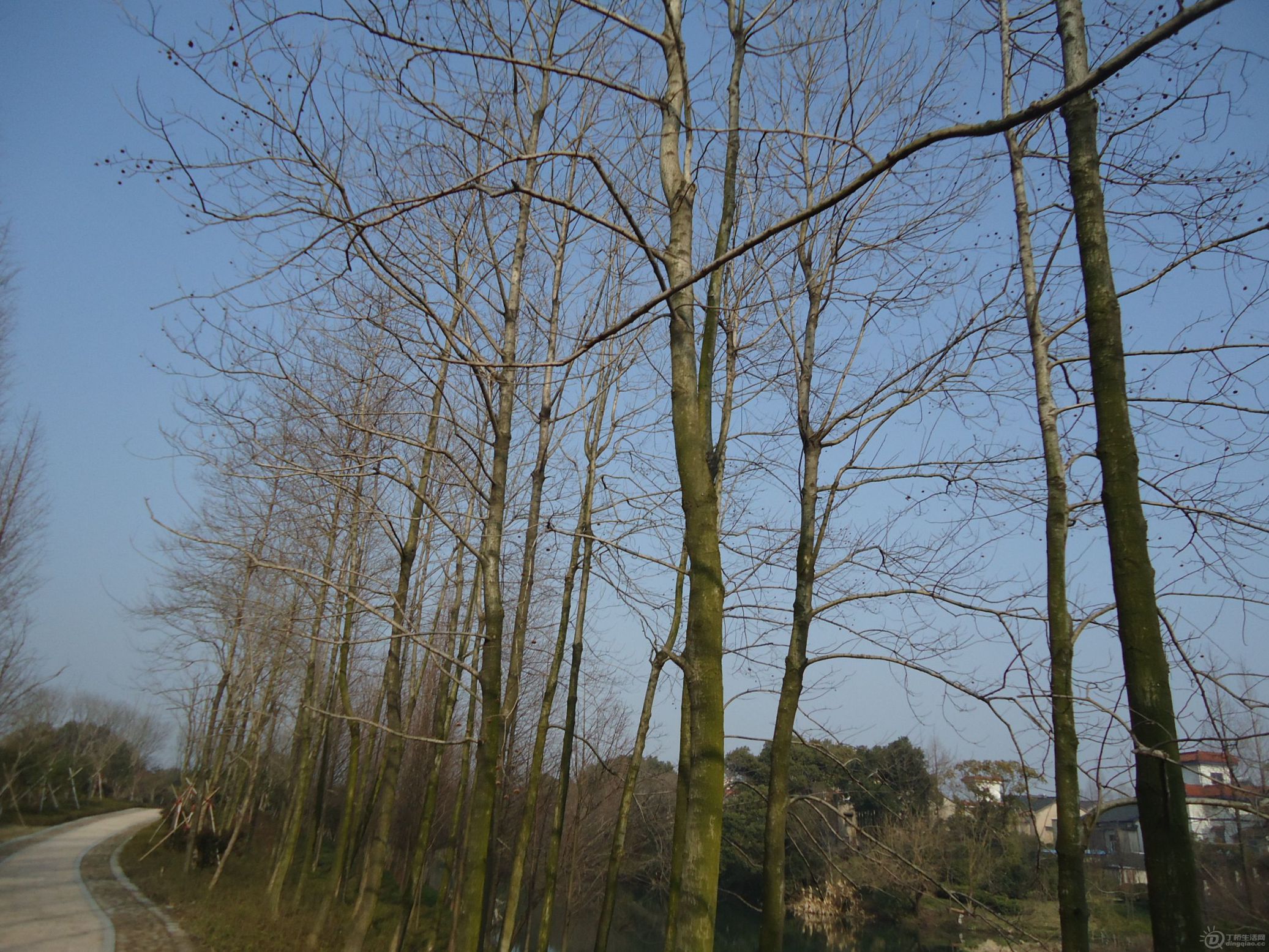 DSC01600.JPG
