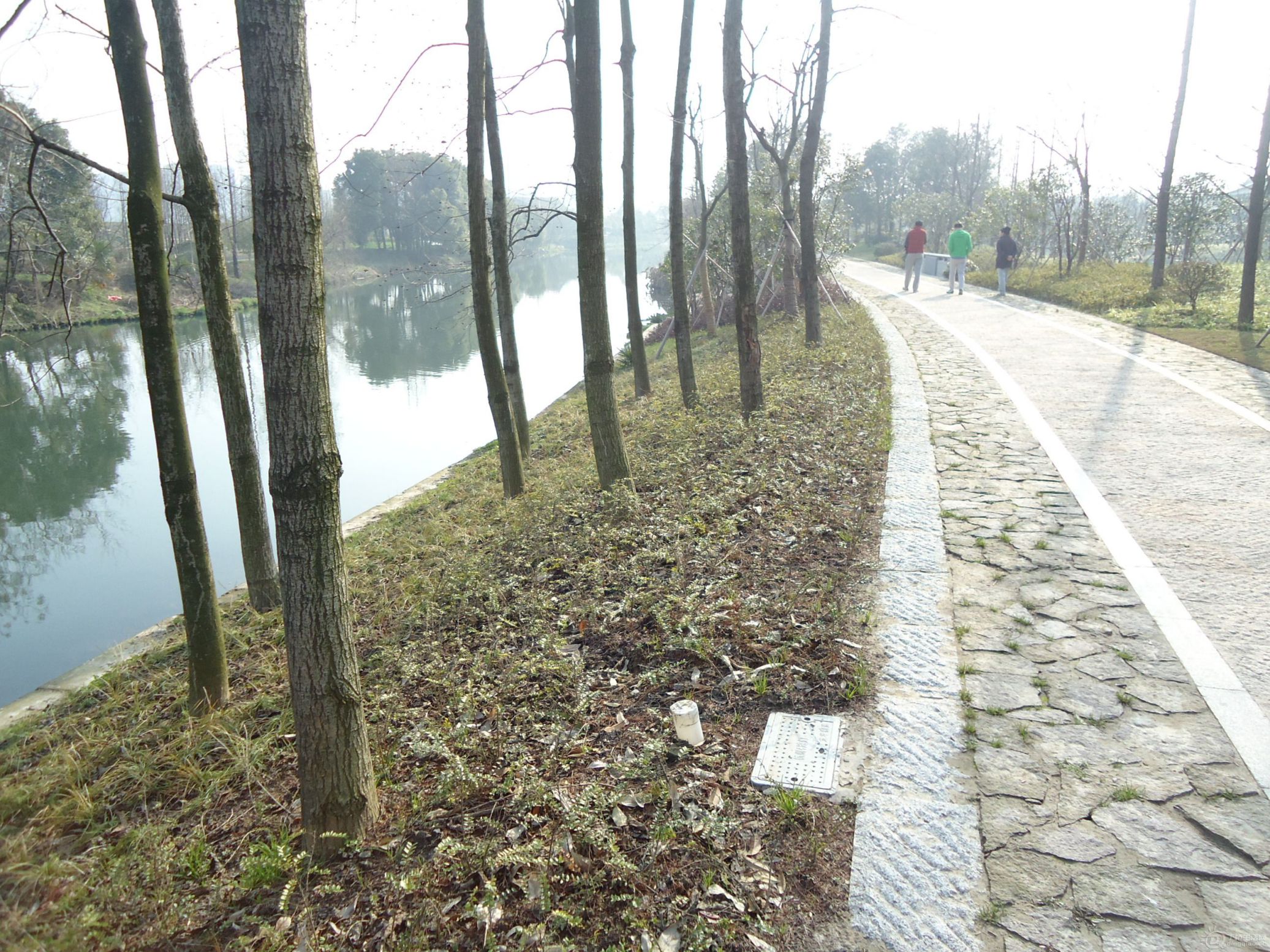 DSC01595.JPG