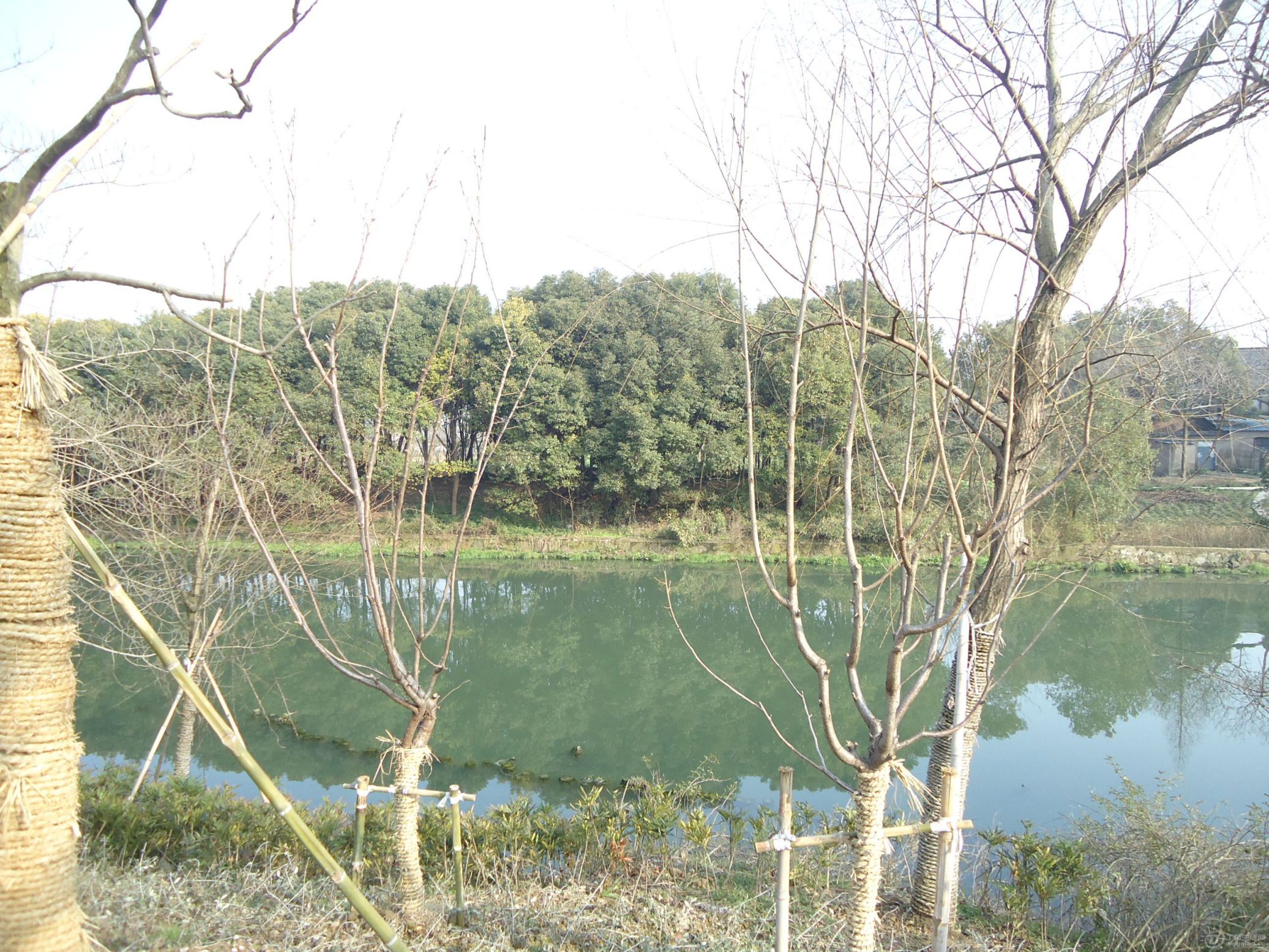 DSC01609.JPG