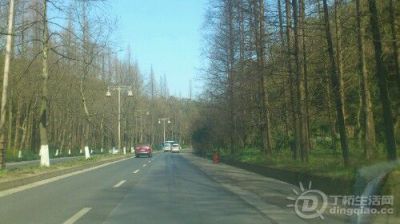 IMG20130306110054.jpg