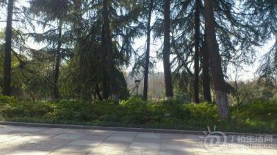 IMG20130306162929.jpg