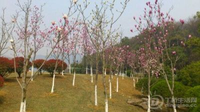 IMG20130316132230.jpg