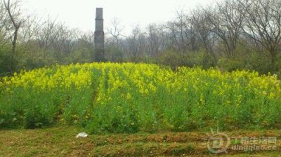 IMG20130316132313.jpg