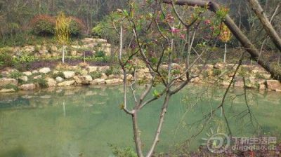 IMG20130316132321.jpg